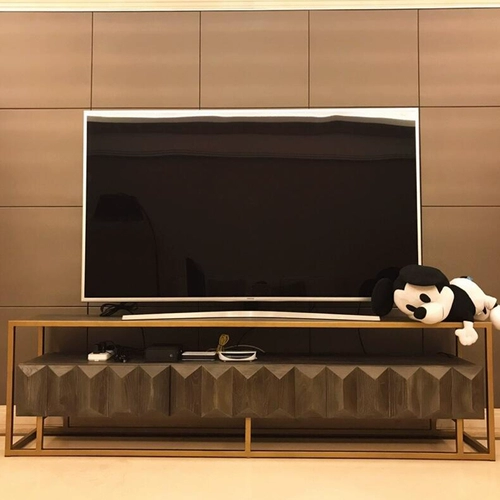 Северный телевизионный шкаф с твердым деревом простые гостиные инопланетные ящики края