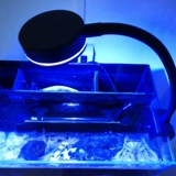 Гуанке Q2B Морский водный фонарь коралловый светодиодный светодиодный рыбный аквариум коралловый фонарь морской резервуар