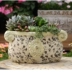 Hoa gốm thịt nồi đất sét bình hoa châu Âu retro đồ đá hoa cổ điển Victoria chậu trong chậu - Vase / Bồn hoa & Kệ