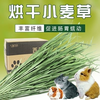 Кролик и кролика сухой Cao сухой пшеница федеральная трава трава трава голландская свиная трава тоторо тоторо федеральные саженцы пшеницы Cao 1 кг