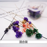 Смешанный с трехмерными сушеными цветами (1 коробка)