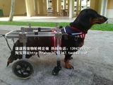 Коляска/инвалидная коляска для домашних животных/Парализованная собачья реабилитация Тренировочная машина/Реабилитационная нога/задние конечно