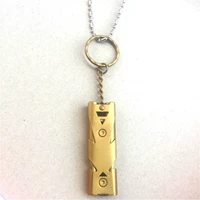 Модель из нержавеющей стали (золотая) с цепью из нержавеющей стали 1