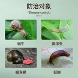 Guoguang Shi Qihelian Flower Pot Garden Garden Pot Snail Slug мягкий вредительный цветочный лекарство