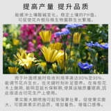 Guoguang дигидрофосфат калия Рунер метилфосфат калия удобрение для листвы, саженцы цветов и фруктовых деревьев, универсальное водорастворимое удобрение с зелеными листьями