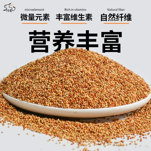 Tiger Parrot Feed Bird Food Peony Mudan Peony Food Bird Birds Bird