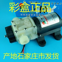 4 точки рта, четырехточечный рот, нить Prandi PLD-2201 Возврат тип DC 24V насос насоса насоса