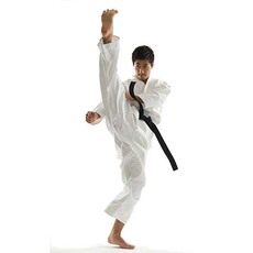 Форма для каратэ Бесплатная доставка высокое