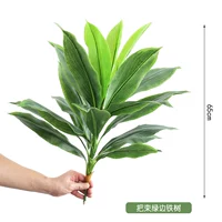 Положите железное дерево зеленого края