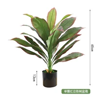 Однократное раствор для горшка из железа с красной границей