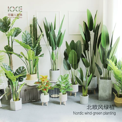 Большой северный европейский стиль