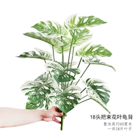 Темно -серые 18 головных черепах назад