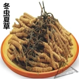 Китайские лекарственные материалы, специализирующиеся на Cordyceps sinensis/nasar cordyceps/cordyceps 10 грамм/3500 штук