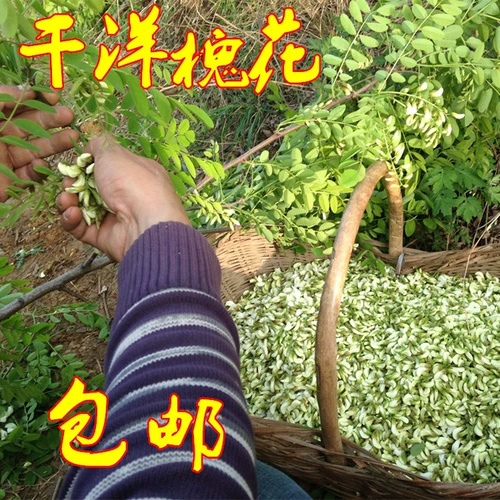 Ocean Huahua Dry Wild Special Special предложение 20 лет нового Henan Specialty Locust Flow
