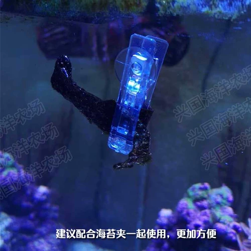 Морские водолабы, морские водоросли, морские водоросли, морские и морские овощи, рыба и зерно, цветная капуста, цветная капуста.