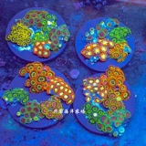 Призрачная кнопка импортированная искусственная кнопка коралловый блюдо с двумя -колорными многокорнообразными морскими резервуарами для воды, чтобы посмотреть домашние животные Xingguo