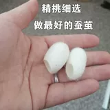 Натуральная красота Mulberry Cocoon Shell с куколками мыть пальцами лица, перекачивание чая, питье шелкового шелкока