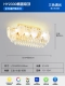 HY2330-ELLIPSE 75CM LAMPLING