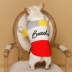 Quần áo Teddy mùa xuân và mùa thu mỏng phần POLO áo đấu pháp luật Bago Bulldog chó quần áo thời trang đường phố Quần áo thú cưng Keji - Quần áo & phụ kiện thú cưng