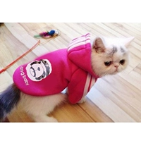 Панда-пуговица и зима плюс бархатный красный