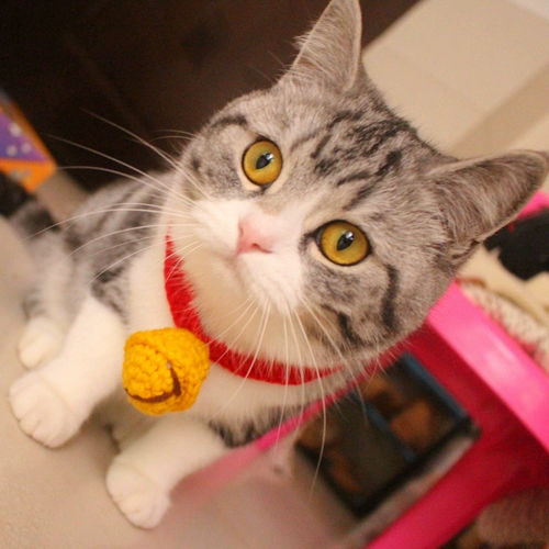 Плетеный колокольчик ручной работы, чокер, милый аксессуар, шарф, домашний питомец, кот