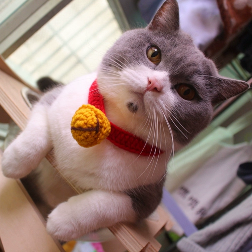 Плетеный колокольчик ручной работы, чокер, милый аксессуар, шарф, домашний питомец, кот