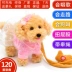 Trẻ em của đồ chơi điện dog leash puppy plush mô phỏng Teddy nữ baby boy thông minh máy điều khiển từ xa Đồ chơi điều khiển từ xa