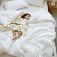 Noble Bai-Cotton Bacterium-Summer