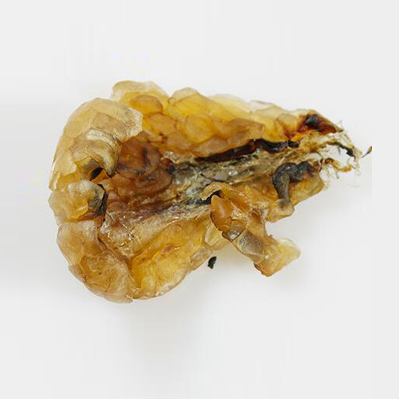 纯干雪蛤干13g长白山雪蛤林蛙干/支