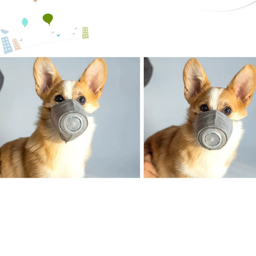 Деконг -домашняя собака против собак -хейза использует рот, чтобы предотвратить кусание Тедди Корги Анти -Рэндомное питание PM2,5