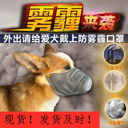 Деконг -домашняя собака против собак -хейза использует рот, чтобы предотвратить кусание Тедди Корги Анти -Рэндомное питание PM2,5