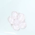 Kobayashi dược phẩm hộ gia đình vệ sinh nhà vệ sinh gel cánh hoa khử mùi khử cặn nước tiểu quy mô loại nước hoa tinh thần - Trang chủ