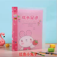 Большой учебный год Pink