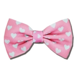 Галстук-бабочка, аксессуар, колокольчик, чокер с бантиком, галстук, домашний питомец, кот