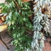 Mô phỏng cao Cây liễu Trang trí đám cưới Lá xanh Mô phỏng trong nhà Hoa Mây Trần Cây Hoa Lá Hoa giả - Hoa nhân tạo / Cây / Trái cây