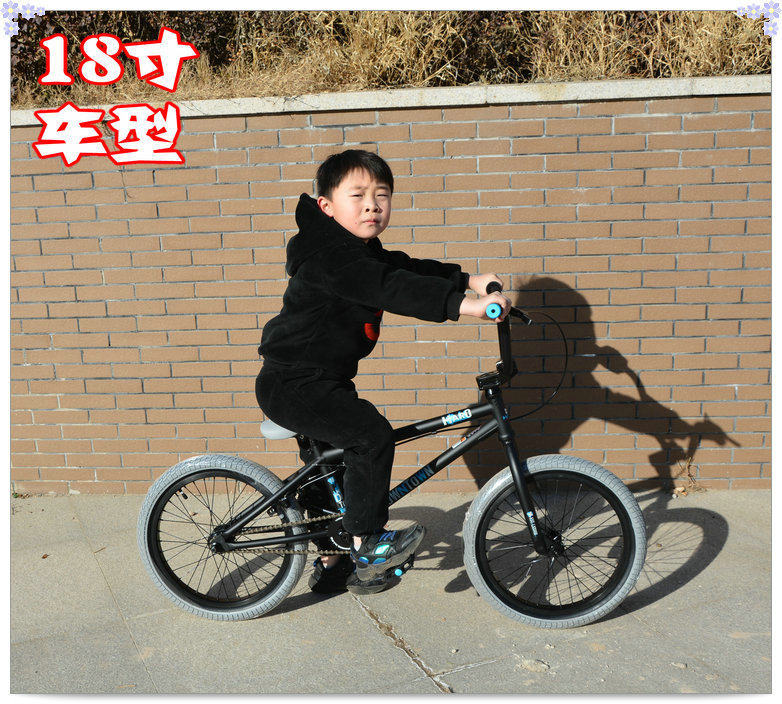 Bmx 18 Дюймов Для Ребенка Интернет Магазин