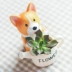 Yunmu tạp hóa cây chó sử dụng kép hoa chậu kết hợp mini bình hoa trang trí máy tính để bàn trang trí sân vườn vi cảnh - Vase / Bồn hoa & Kệ
