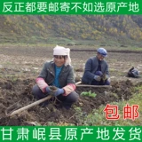 Gansu Minxian Angelicae 500 г аутентичные китайские лекарственные материалы официальный флагманский магазин недикие специальные сорта подлинные ломтики дягиля цельный корень