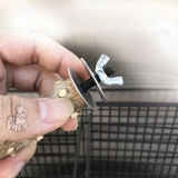 Чистый натуральный дикий перец деревянные братья, старший брат, попугай для бровей, птица стоит, стоит на шесте палочке, палочка, палочка с барной палочкой