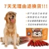 Chó cưng mũm mĩm ăn nhẹ bổ sung canxi không có dầu thấp 60 phổ quát đầy đủ giống chó đào tạo xúc xích ham - Đồ ăn vặt cho chó