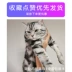 Lantees LandCE pet Sheng Kang chó già mèo cưng thận suy thận tăng huyết áp 60ml - Cat / Dog Health bổ sung sữa cho mèo mẹ mới đẻ Cat / Dog Health bổ sung