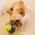 Thức ăn cho thú cưng leaker dog toy tumbler rò rỉ thức ăn bóng mèo và chó đồ chơi giáo dục vừa và lớn đồ chơi mèo Mèo / Chó Đồ chơi