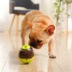 Thức ăn cho thú cưng leaker dog toy tumbler rò rỉ thức ăn bóng mèo và chó đồ chơi giáo dục vừa và lớn đồ chơi mèo Mèo / Chó Đồ chơi