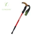 FLYINGBIRD 飞 pole Cột trekking bằng sợi carbon ngoài trời Cây gậy đi bộ Cây gậy cũ Cây gậy cũ Ft6 - Gậy / gậy gậy cho người già Gậy / gậy