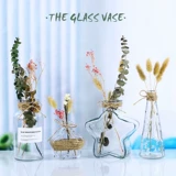 Простые стеклянные вазы киоски творческий реагент гидропонный растение дождь мелкие ваза