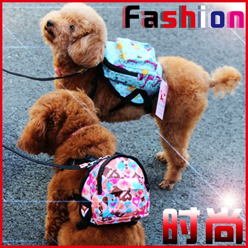 Рюкзак для выхода на улицу с поводком, цепочка, сумка