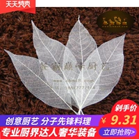 Cicada -Wing Leaf Creative Chef Articistic Conception Conception