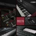Đích thực YAMAHA Yamaha MOXF8 tổng hợp điện tử 88-key trọng lượng đầy đủ bàn phím sân khấu chuyên nghiệp sắp xếp Bộ tổng hợp điện tử