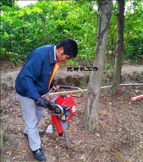 快速挖树机 便携式挖树机进口小松断根机 苗圃园林移树机