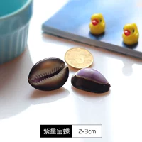 【2】 Purple Star Po luo